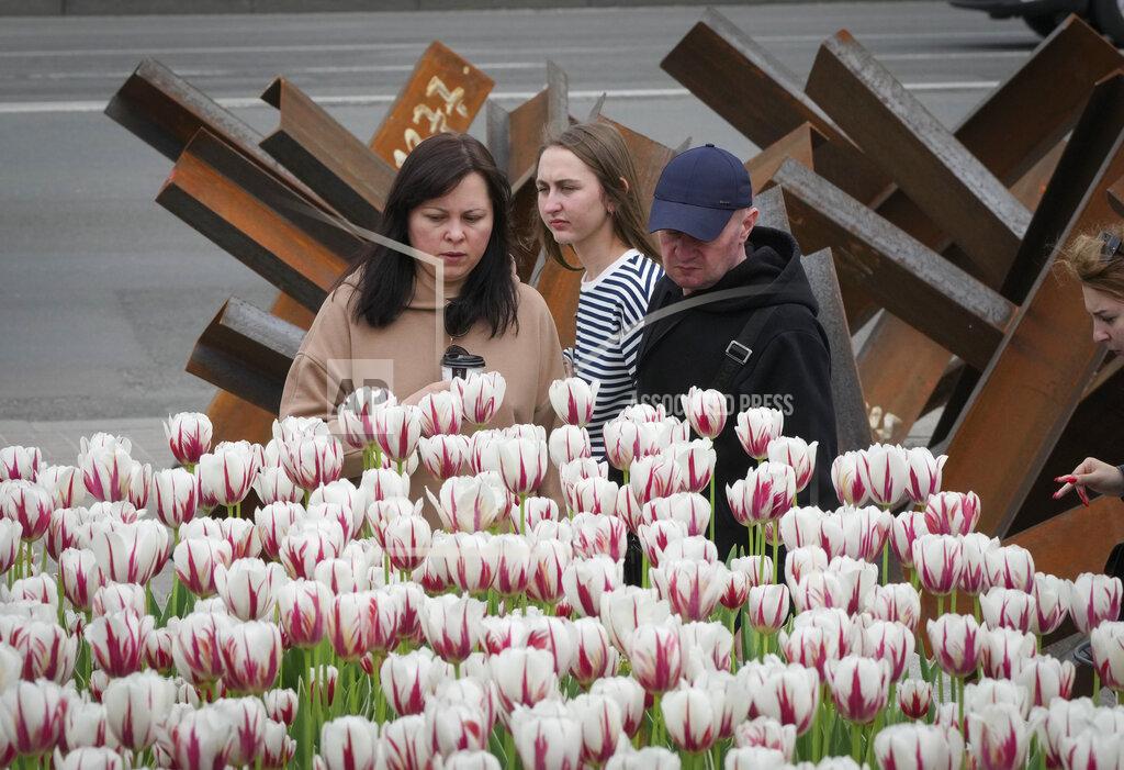 Efrem Lukatsky People enjoy tulips as they stand in front of anti-tank hedgehogs, in central Kyiv, Ukraine, Saturday, May 14, 2022. (AP Photo/Efrem Lukatsky)