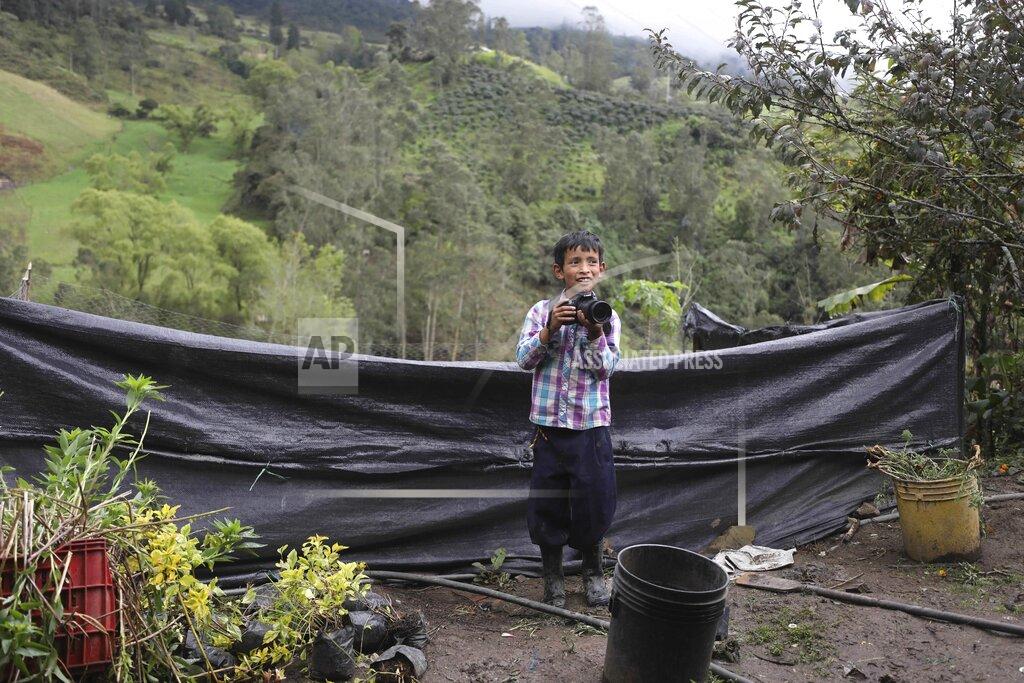 Fernando Vergara Jeimmer Alejandro Riveros, 9, takes photos with a friend's camera on his mother's small farm in Chipaque, Colombia, Saturday, May 9, 2020. Alejandro, his mother and his older brother are reinventing themselves as YouTubers due to a quarantine ordered by the government to contain the spread of COVID-19, teaching others how to grow vegetables at home and providing self-starter kits that they deliver through a local courier. (AP Photo/Fernando Vergara)
