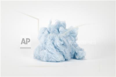 (Photo: Business Wire)