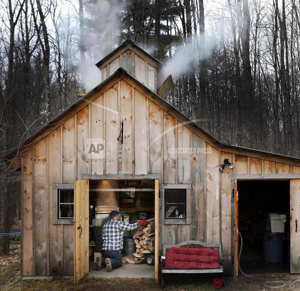 Jim Cole In this March 10, 2016, file photo, Jason Landry loads wood into the firebox as he boils down sap at his sugar house to make maple syrup in Loudon, N.H. The coronavirus pandemic forced some states to cancel their annual maple season celebrations in 2020, but some New England producers with safety precautions in place are welcoming back the public in 2021. (AP Photo/Jim Cole, File)
