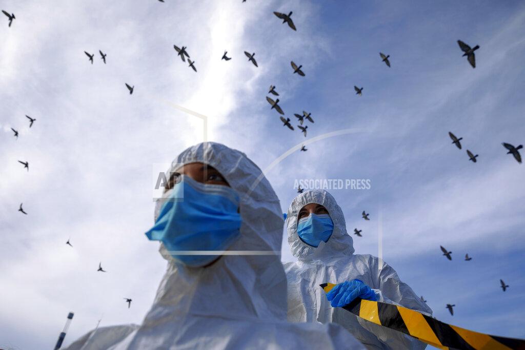 Oded Balilty Israeli animal rights activists wearing protective gear demonstrate against the spread of coronavirus among mink in Denmark's fur industry ahead of international Fur Free Friday, in Tel Aviv, Tuesday, Nov. 24, 2020. (AP Photo/Oded Balilty)