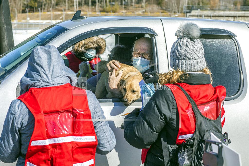 Geoff Forester Rupert Cheney brought his dog Romo as he gets registered to get the one-dose Johnson and Johnson vaccine on at the New Hampshire Motor Speedway, Saturday morning, March 6, 2021, in Loudon, N.H. (Geoff Forester/The Concord Monitor via AP)
