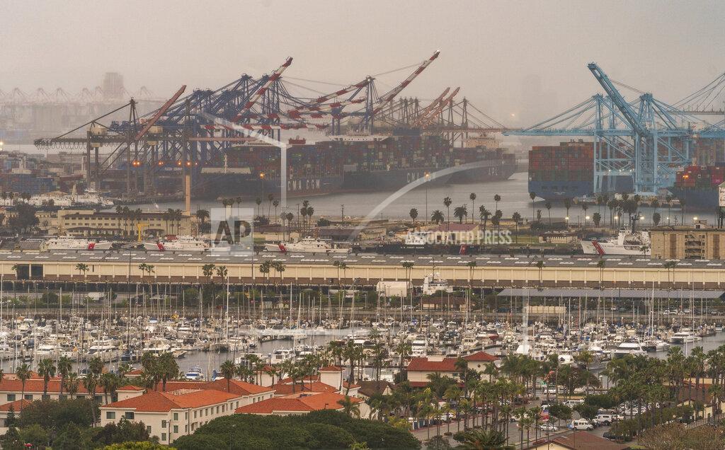 Damian Dovarganes In this Wednesday, March 3, 2021 photo, container cargo ships are seen docked in the Port of Los Angeles. A trade bottleneck born of the COVID-19 outbreak has U.S. businesses waiting for shipments from Asia _ while off the coast of California, dozens of container ships have been anchored, unable to unload their cargo. ( AP Photo/Damian Dovarganes)
