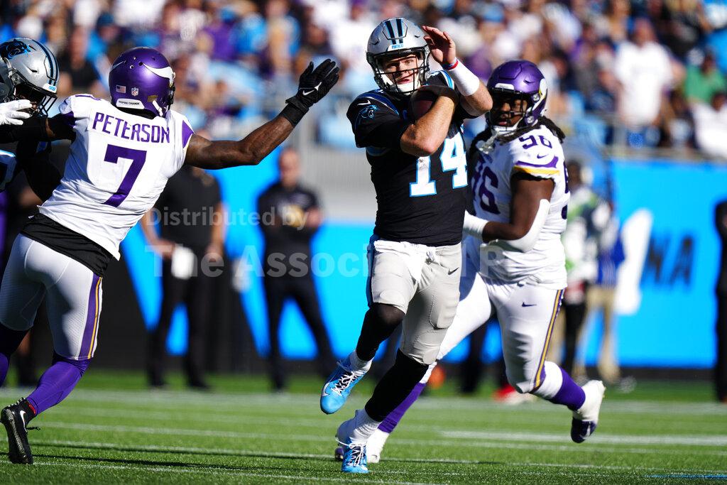 Vikings Panthers Football Buy Photos AP Images DetailView