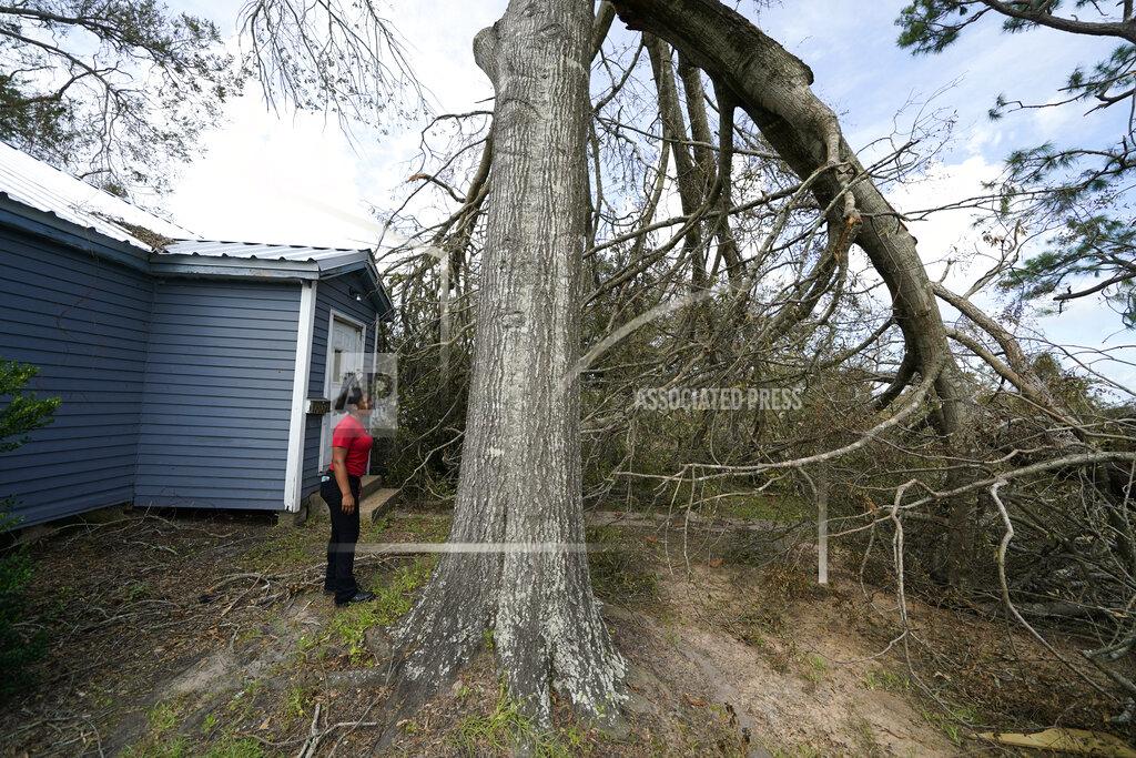 Gerald Herbert Layla Winbush looks at a fallen tree in front of her damaged home in Lake Charles, La., in the aftermath of Hurricane Laura, Sunday, Aug. 30, 2020. (AP Photo/Gerald Herbert)