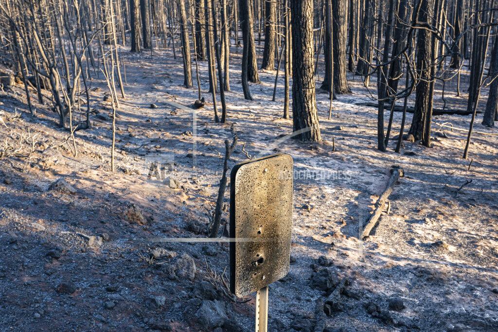 Nathan Howard A fire-damaged mile marker sign hangs near trees burned by the Bootleg Fire on Wednesday, July 21, 2021 in Bly, Ore. (AP Photo/Nathan Howard)