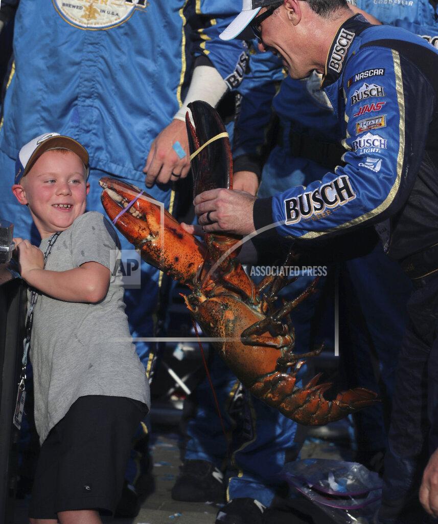 Charles Krupa Kevin Harvick holds a giant lobster as he jokes with his son Keelan after winning a NASCAR Cup Series auto race at New Hampshire Motor Speedway in Loudon, N.H., Sunday, July 21, 2019. (AP Photo/Charles Krupa)