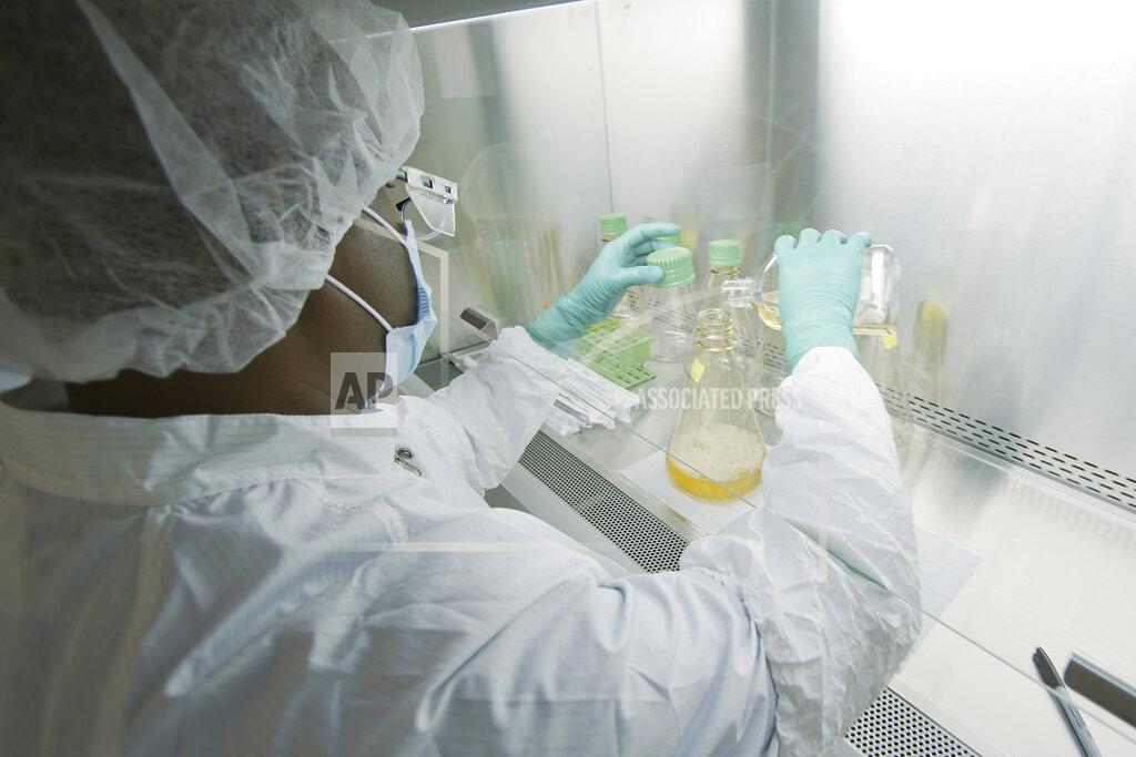 David Morrison FILE - In this May 2020 file photo provided by Eli Lilly, a researcher tests possible COVID-19 antibodies in a laboratory in Indianapolis. On Monday, Oct. 26, 2020, U.S. government officials announced they are putting an early end to a study testing an Eli Lilly antibody drug for people hospitalized with COVID-19 because it doesn’t seem to help. (David Morrison/Eli Lilly via AP, File)
