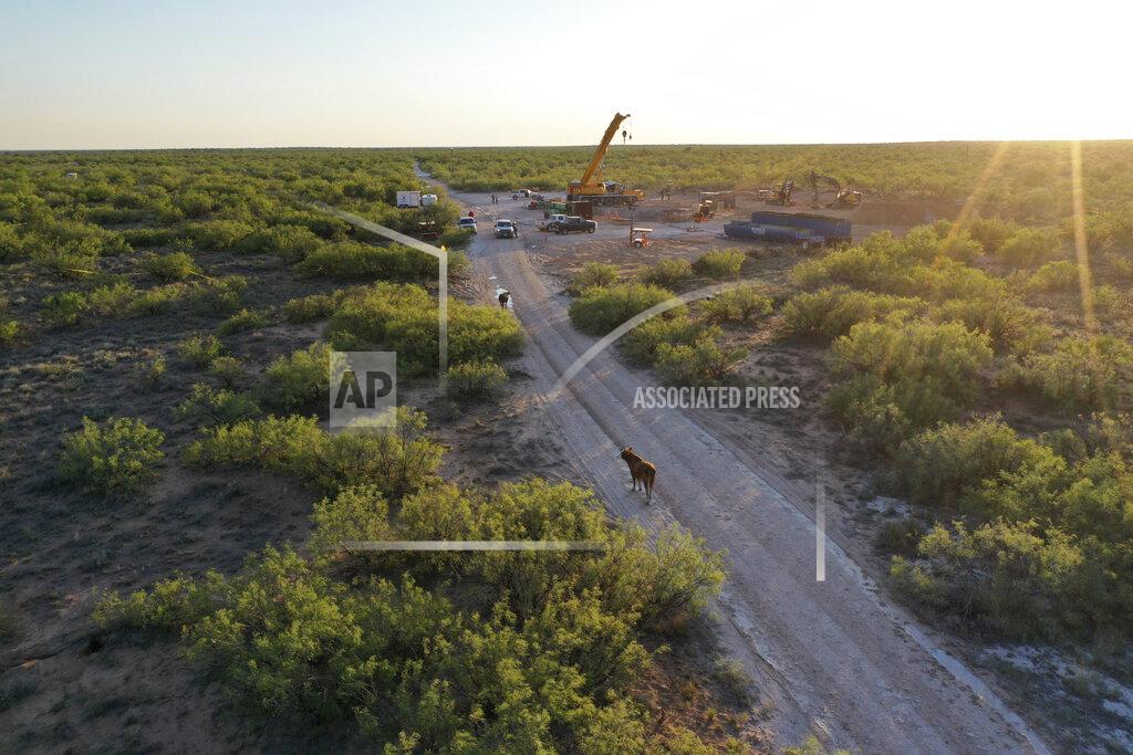 Ashley Williams Watt In this June 2021 photo provided by rancher Ashley Williams Watt, cows stand in the roadway near the Estes 24 well on the Antina Cattle Co. ranch near Crane, Texas. An oil worker noticed salty brine bubbling up near the site in early June. It was later determined that the source was the Estes 24, a "plugged and abandoned" well that was first plugged back in 1995. Buried under the sand, it became unplugged and started leaking the brine, a byproduct of oil production that is considered a toxic substance. (Ashley Williams Watt via AP)