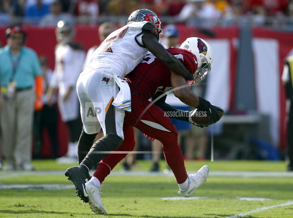 Jason Behnken Arizona Cardinals middle linebacker Jordan Hicks (58) intercepts a pass intedended for Tampa Bay Buccaneers wide receiver Chris Godwin (12) during the second half of an NFL football game Sunday, Nov. 10, 2019, in Tampa, Fla. (AP Photo/Jason Behnken)