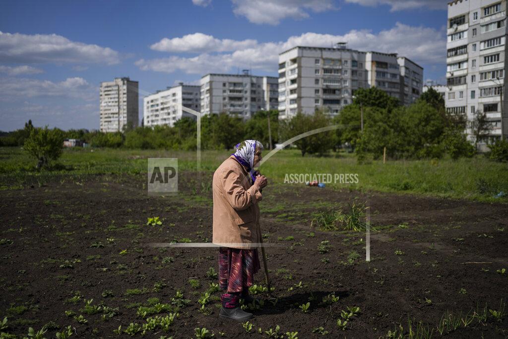 Bernat Armangue Lyudmila, 85, tends to the garden in Kharkiv, eastern Ukraine, Monday, May 23, 2022. (AP Photo/Bernat Armangue)