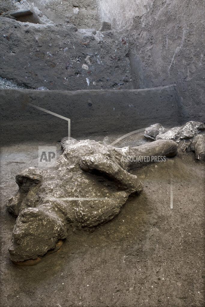 Uncredited A detail of the casts of one of two bodies that are believed to have been a rich man and his male slave fleeing the volcanic eruption of Vesuvius nearly 2,000 years ago, are seen in what was an elegant villa on the outskirts of the ancient Roman city of Pompeii destroyed by the eruption in 79 A.D., where they were discovered during recents excavations, Pompeii archaeological park officials said Saturday, Nov. 21, 2020. (Parco Archeologico di Pompei via AP)