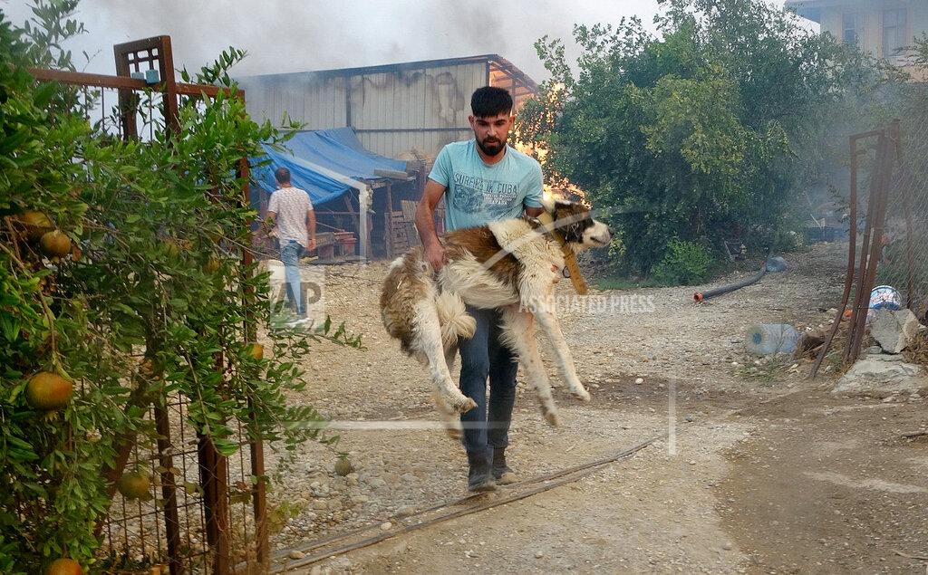 Uncredited A man carries his dog he rescued from their burning house in a village as wildfire continue to rage the forests near the Mediterranean coastal town of Manavgat, Antalya, Turkey, Thursday, July 29, 2021. At least three people were killed and dozens of people were hospitalized in southern Turkey after strong winds fanned two separate forest fires, officials said Thursday. A wildfire that broke out Wednesday near the Mediterranean coastal resort town of Manavgat, in Antalya province, had largely been contained, Agriculture and Forestry Minister Bekir Pakdemirli said. (IHA via AP)