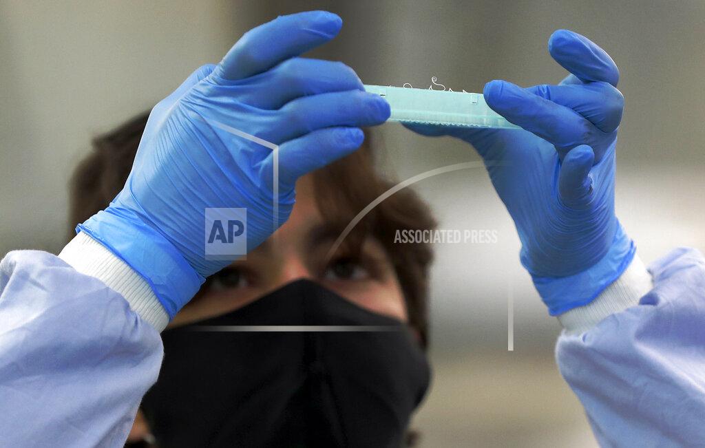 Frank Augstein A lab assistant looks at an assay plate to prepare sequencing at the Wellcome Sanger Institute that is operated by Genome Research in Cambridge, Thursday, March 4, 2021. Cambridge University microbiologist Sharon Peacock understood that genomic sequencing would be crucial in tracking the coronavirus, controlling outbreaks and developing vaccines, so she began working with colleagues around the country to put together a plan when there were just 84 confirmed cases in the country. The initiative helped make Britain a world leader in rapidly analyzing the genetic material from large numbers of COVID-19 infections, generating more than 40% of the genomic sequences identified to date.(AP Photo/Frank Augstein)