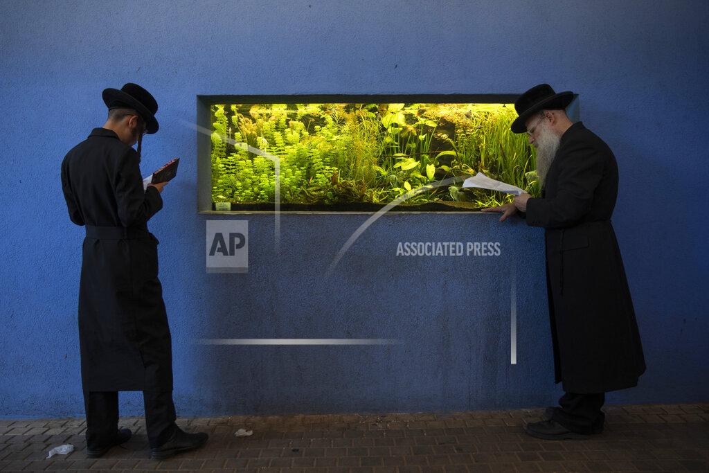 Oded Balilty Ultra-Orthodox Jews pray during the Tashlich ceremony, next to an aquarium at a zoo in the ultra-Orthodox Israeli town of Bnei Brak, Tuesday, Sept. 14, 2021. Tashlich, which means 'to cast away' in Hebrew, is the practice by which Jews go to a large flowing body of water and symbolically 'throw away' their sins by throwing a piece of bread, or similar food, into the water before the Jewish holiday of Yom Kippur, the holiest day in the Jewish year which starts at sundown Wednesday. (AP Photo/Oded Balilty)
