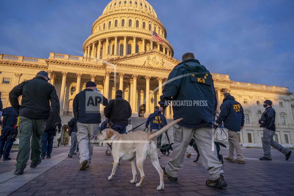 J. Scott Applewhite Federal K-9 units prepare for a security sweep in preparation for the inauguration ceremonies on Capitol Hill in Washington, Tuesday, Jan. 19, 2021. President-elect Joe Biden will be sworn in as the 46th president on Wednesday. (AP Photo/J. Scott Applewhite)