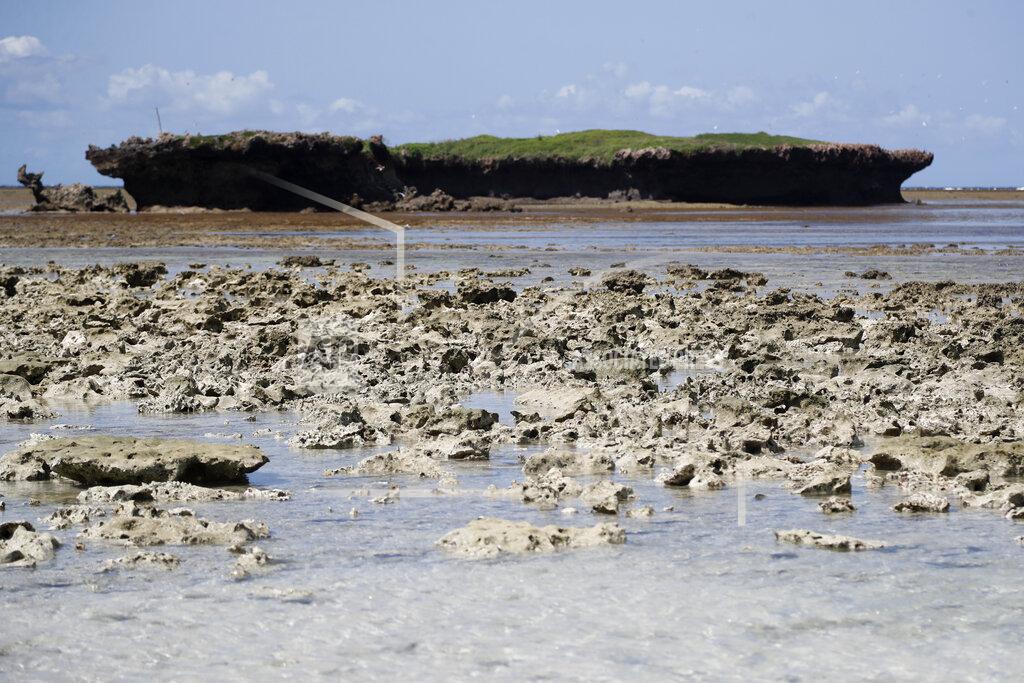 Brian Inganga Fringing reef is visible off the island of Kisite Mpunguti, Kenya, Wednesday, June 15, 2022. (AP Photo/Brian Inganga)