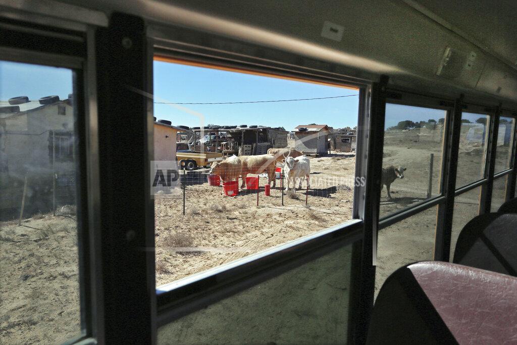 Cedar Attanasio A school bus driven by Kelly Maestas arrives at his one of his rural destinations outside Cuba, N.M., Oct. 19, 2020. The switch to remote learning in rural New Mexico has left some students profoundly isolated — cut off from others and the grid by sheer distance. The school system is sending school buses to students' far-flung homes to bring them assignments, meals and a little human contact. (AP Photo/Cedar Attanasio)