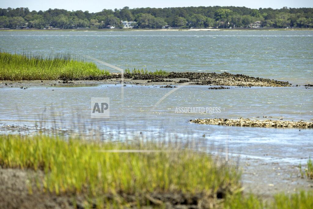 Stephen B. Morton Natural occurring oyster reefs and salt marshes surrounding much of the Marine Corps Recruiting Depot, Wednesday, May 11, 2022, in Parris Island, S.C. The base has been working with environmental groups to secure funding for living shoreline projects, building up oyster reefs along the coast to strengthen the salt marsh that acts as a buffer to floods and hurricanes. (AP Photo/Stephen B. Morton)