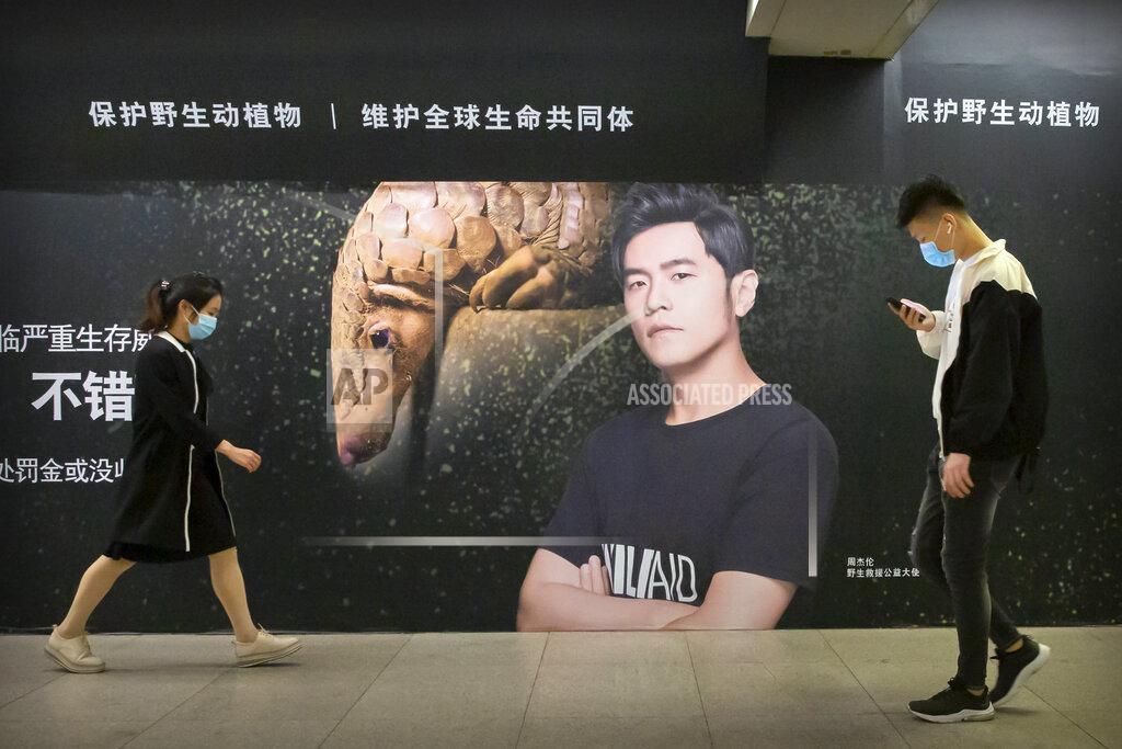 Mark Schiefelbein People wear face masks to protect against the spread of the new coronavirus as they walk past a billboard encouraging people to protect pangolins in Beijing, Wednesday, April 15, 2020. China reported several dozen new coronavirus cases on Wednesday, mostly from overseas. (AP Photo/Mark Schiefelbein)