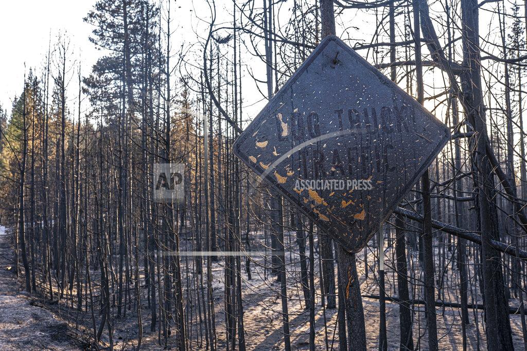 Nathan Howard A fire-damaged sign hangs near trees burned by the Bootleg Fire on Wednesday, July 21, 2021 in Bly, Ore. (AP Photo/Nathan Howard)