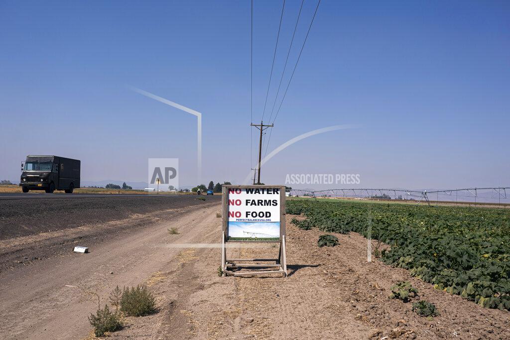 Nathan Howard Traffic passes a sign reading "No Water, No Farms, No Food" near a pumpkin farm in the North Unit Irrigation District on Tuesday, Aug. 31, 2021, near Madras, Ore. The stark contrast between the water haves and have-nots two hours southeast of Portland has brought new urgency to efforts to share the resource. (AP Photo/Nathan Howard)