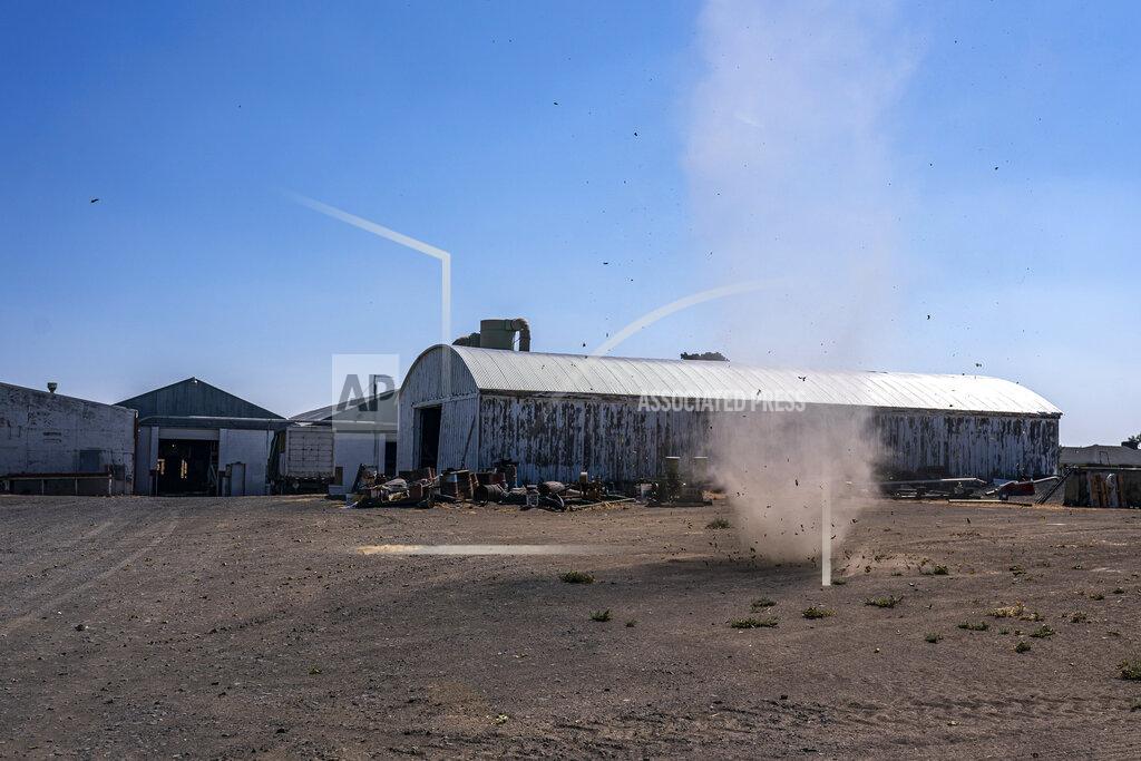 Nathan Howard A dust devil swirls through Phil Fine's farm in the North unit Irrigation District on Tuesday, Aug. 31, 2021, near Madras, Ore. Cracked dirt lines empty irrigation canals, and dust devils and tumbleweeds punctuate a landscape in shades of brown. (AP Photo/Nathan Howard)