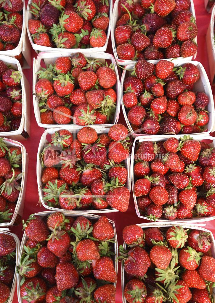 Don Campbell Strawberries sit ready for sale Friday, June 11, 2021, during the opening of the Hartford Strawberry Festival, held at Ely Park in downtown Hartford, Mich. The annual festival returned after being cancelled last year due to the pandemic.(Don Campbell/The Herald-Palladium via AP)