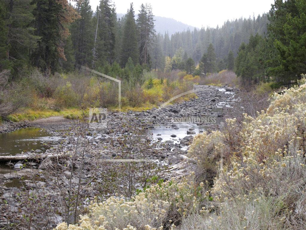 Scott Sonner Water flows have slowed to a trickle on the Truckee River flowing out of Lake Tahoe from Tahoe City, Calif. a few miles upstream from Truckee, Calif. Wednesday, Oct. 20, 2021. Drought fueled by climate change has dropped Lake Tahoe below its natural rim and halted flows into the Truckee River, an historically cyclical event that's occurring sooner and more often than it used to _ raising fears about what might be in store for the famed alpine lake. (AP Photo/Scott Sonner).