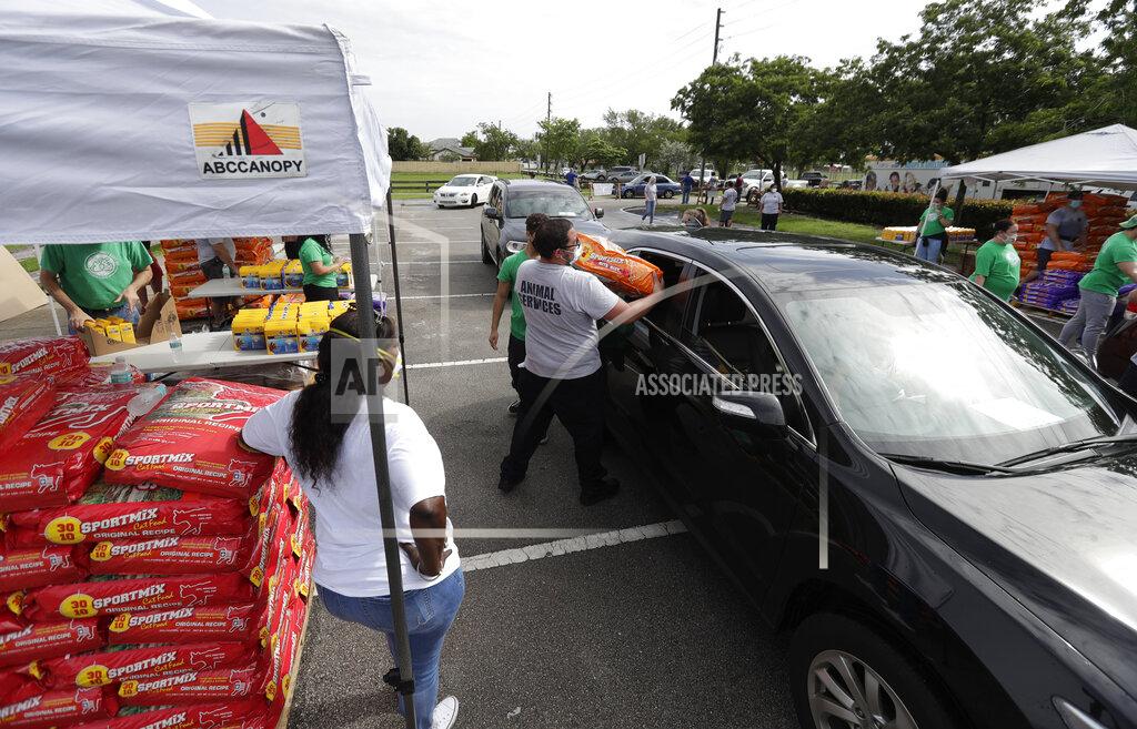 Wilfredo Lee Employees and volunteers at a Miami-Dade County Animal Services Department Drive-Thru Pet Food Bank load pet food into cars at Lake Stevens Park, Thursday, June 4, 2020, in Miami Gardens, Fla. About 40,000 lbs of dog and cat food donated by the American Society for the Prevention of Cruelty to Animals as part of their national ASPCA COVID-19 Relief & Recovery Initiative were distributed Thursday. (AP Photo/Wilfredo Lee)