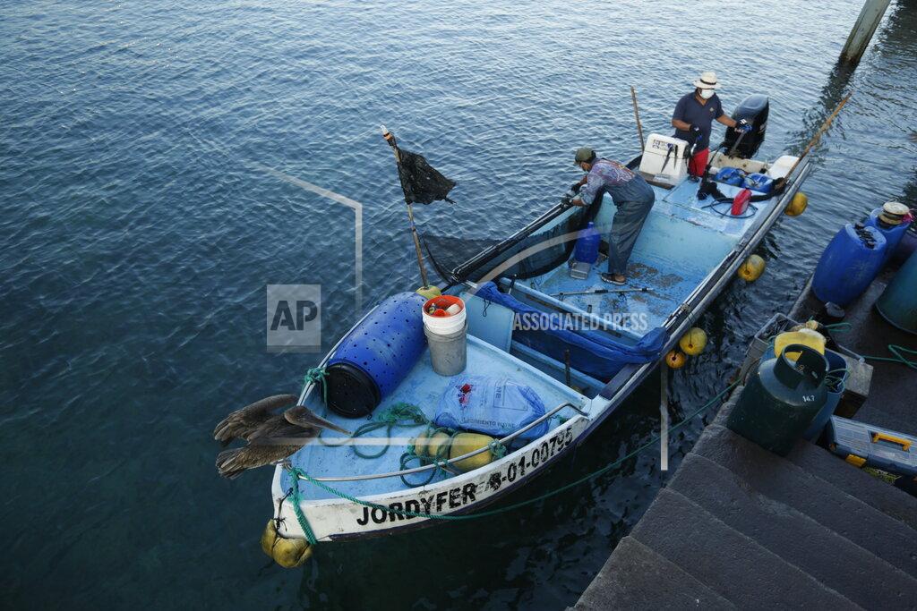 Adrian Vasquez In this May 2, 2020 photo, fishermen work in their boat in the bay of San Cristobal, Galapagos Islands, Ecuador. Locals like to joke that, "In the Galapagos, it is prohibited to get sick." But COVID-19 has upended any sense of island immunity. The islands' first cases of the new coronavirus were diagnosed in late March. (AP Photo/Adrian Vasquez)