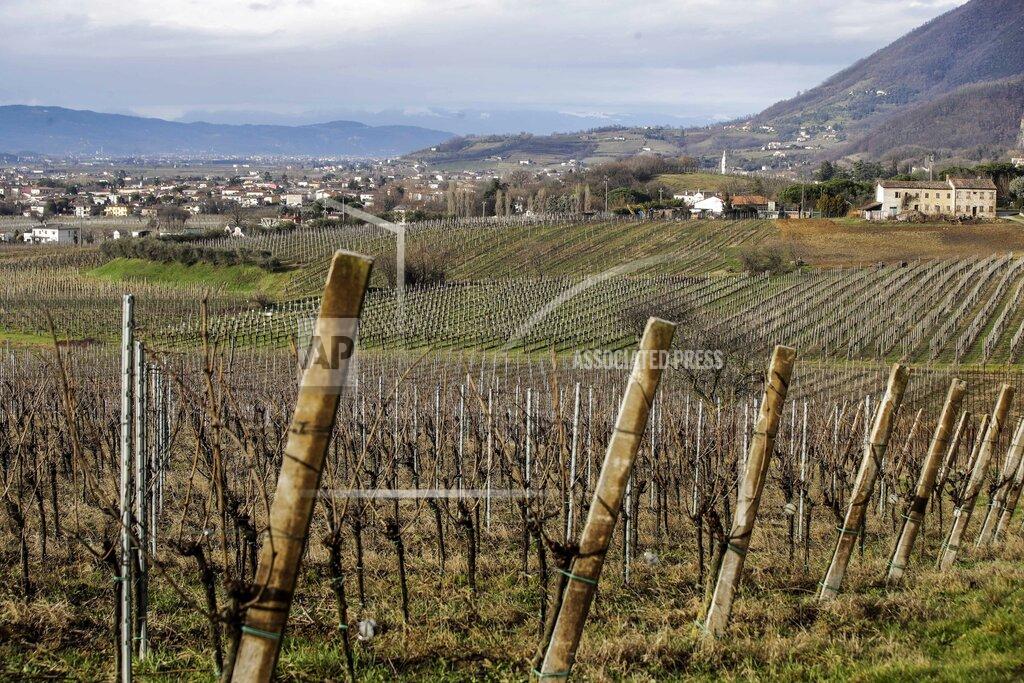 Luca Bruno The town of Vo Euganeo is seen beyond a vineyard, northern Italy, Wednesday, Feb. 10, 2021. Shockwaves ran through the wine-making village of Vo, west of Venice, as word spread last Feb. 21 that a retired roofer had died of the new coronavirus becoming the first known COVID-19 victim in the West. (AP Photo/Luca Bruno)