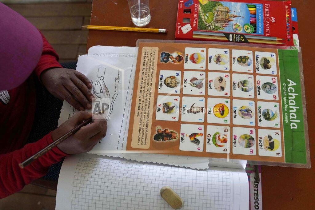 Martin Mejia A student colors in a fox during during Quechua Indigenous language class focusing on animal names at a public primary school in Licapa, Peru, Wednesday, Sept. 1, 2021. Five hundred years ago, Quechua was the lingua franca of the Inca Empire, which stretched from what is now southern Colombia to central Chile. (AP Photo/Martin Mejia)