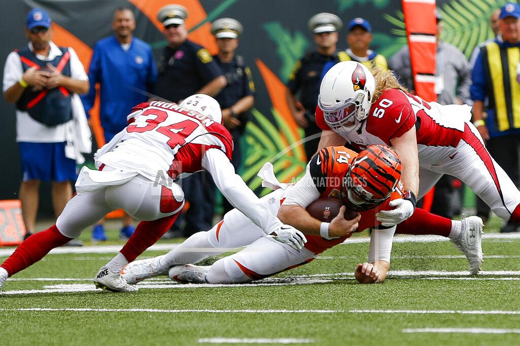 Frank Victores Cincinnati Bengals quarterback Andy Dalton (14) takes a knee on a running play against Arizona Cardinals linebacker Brooks Reed (50) and defensive back Jalen Thompson (34) in the first half of an NFL football game, Sunday, Oct. 6, 2019, in Cincinnati. (AP Photo/Frank Victores)