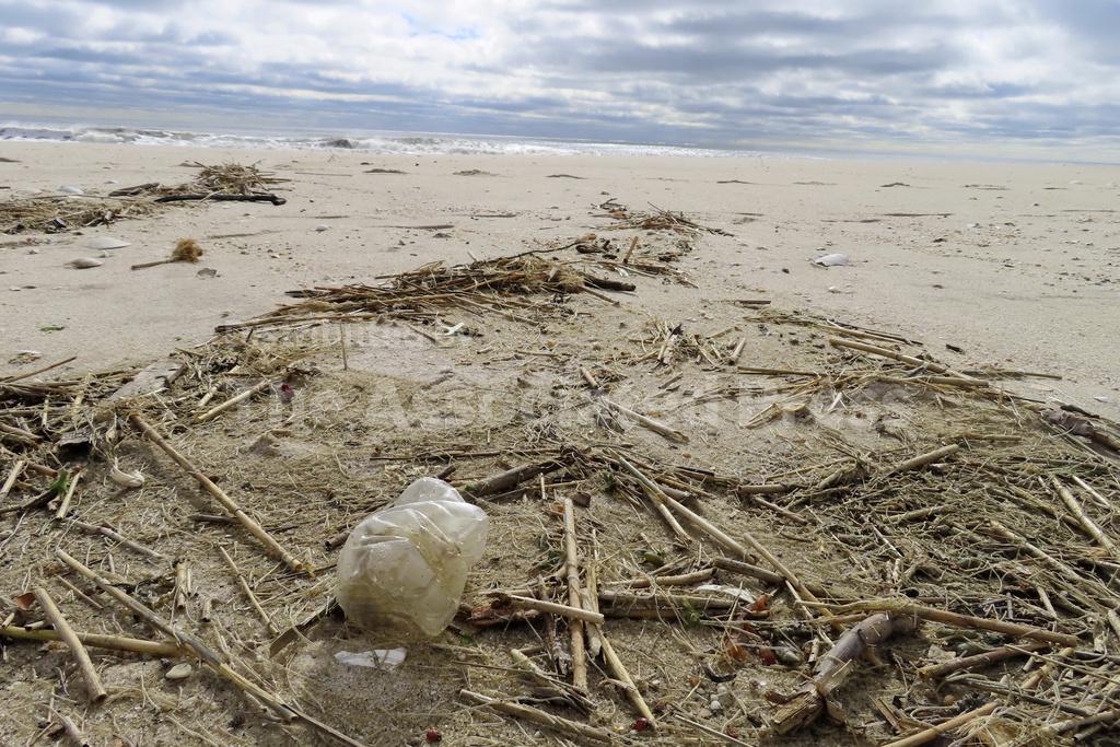 Smallest penis size by country