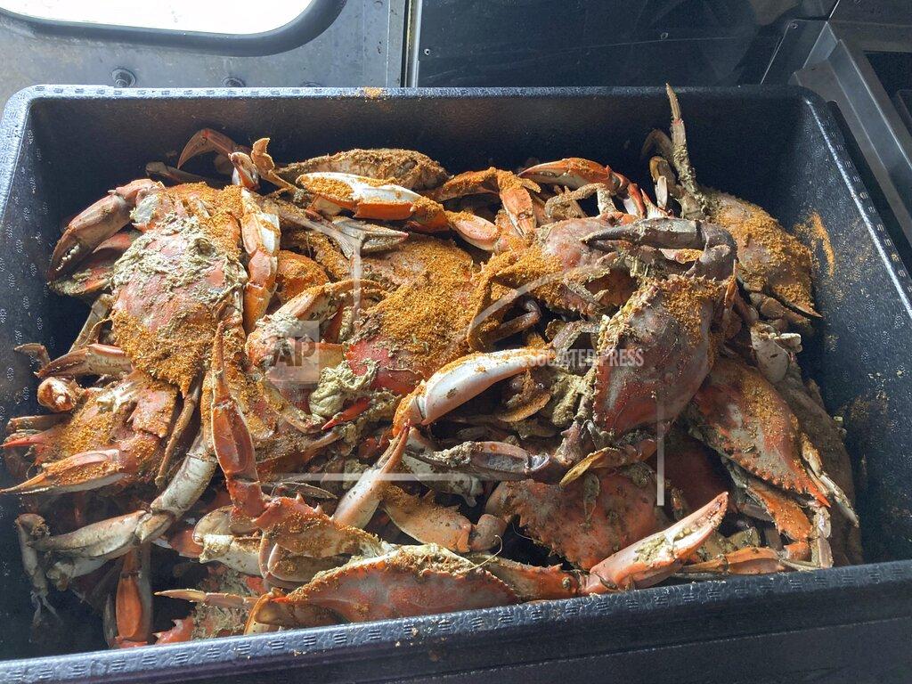 José Ignacio Castañeda A tub of seasoned crabs is pictured at the grand opening of the Crab Cravers food truck in Wilmington, Delaware, on Sunday, July 18, 2021. (José Ignacio Castañeda /The News Journal via AP)