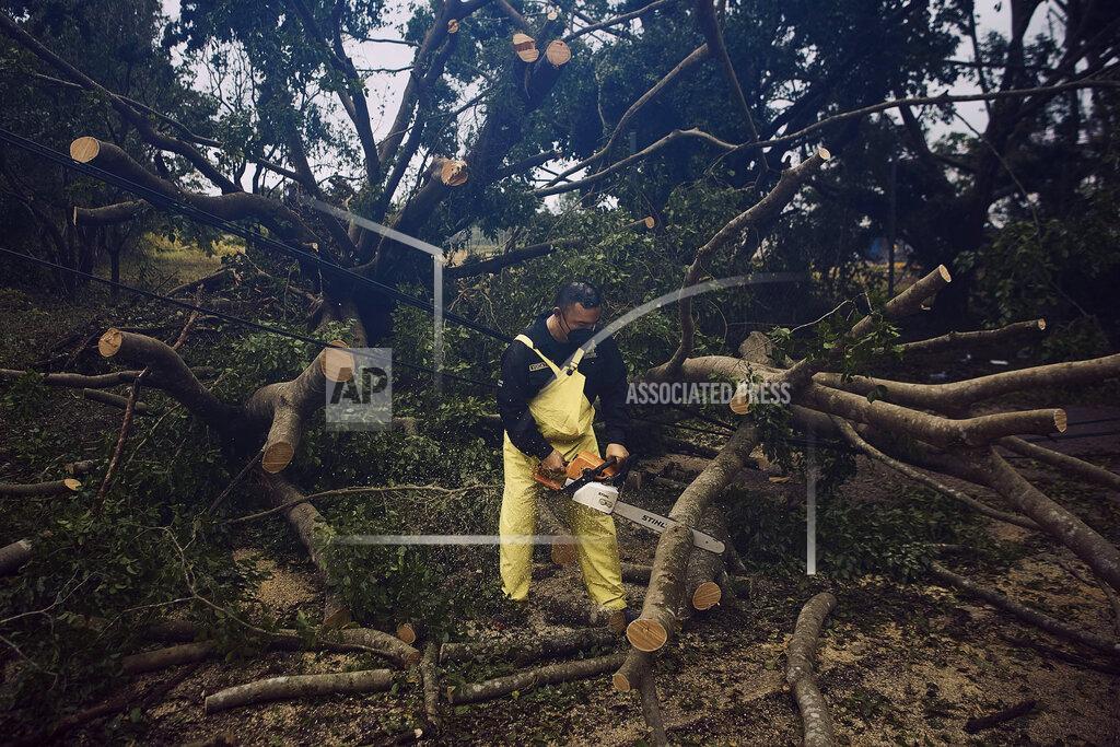 Andres Kudacki Police clear a tree toppled by Hurricane Delta in Tizimin, Mexico, Wednesday, Oct. 7, 2020. Delta made landfall Wednesday just south of the Mexican resort of Cancun as a Category 2 storm, downing trees and knocking out power to some resorts along the northeastern coast of the Yucatan Peninsula. (AP Photo/Andres Kudacki)
