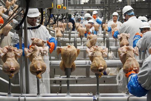 FILE - In this Dec. 12, 2019, file photo workers process chickens at a poultry plant, in Fremont, Neb. Federal health officials are rethinking their approach to controlling salmonella in poultry plants in the hope of reducing the number of illnesses linked to the bacteria each year. The USDA says the industry has succeeded in reducing the level of salmonella contamination found in poultry plants in recent years, but that hasn’t translated into a significant reduction in the 1.35 million salmonella illnesses reported each year.(AP Photo/Nati Harnik, File)