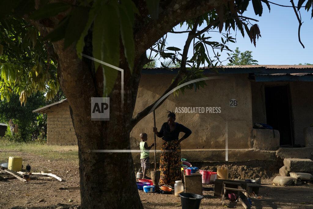Leo Correa Hawa Kassama prepares cassava with pepper for her family at Kombayendeh village, in Lei chiefdom, district of Kono, Sierra Leone, Thursday, Nov. 26, 2020. Sierra Leone closed its borders before the country had its first COVID-19 case. As a result, the country has seen only 2,434 confirmed cases and 74 deaths. Only 76 of those cases were confirmed in Kono district, but the economic toll here has brought many families already living on the edge to a breaking point. (AP Photo/Leo Correa)
