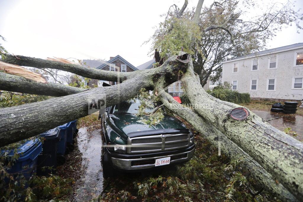 Peter Pereira A large tree fell onto a pickup truck in Fairhaven, Mass. on Wednesday, Oct. 27, 2021 as a nor'easter slams into the region. (Peter Pereira/The Standard-Times via AP)