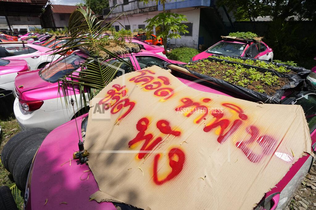 Sakchai Lalit Workers from two taxi cooperatives assemble miniature gardens on the rooftops of unused taxis parked in Bangkok, Thailand, Thursday, Sept. 16, 2021. Taxi fleets in Thailand are giving new meaning to the term “rooftop garden,” as they utilize the roofs of cabs idled by the coronavirus crisis to serve as small vegetable plots and raise awareness about the plight of out of work drivers. Poster reads "Due to COVID, life is destroyed." (AP Photo/Sakchai Lalit)