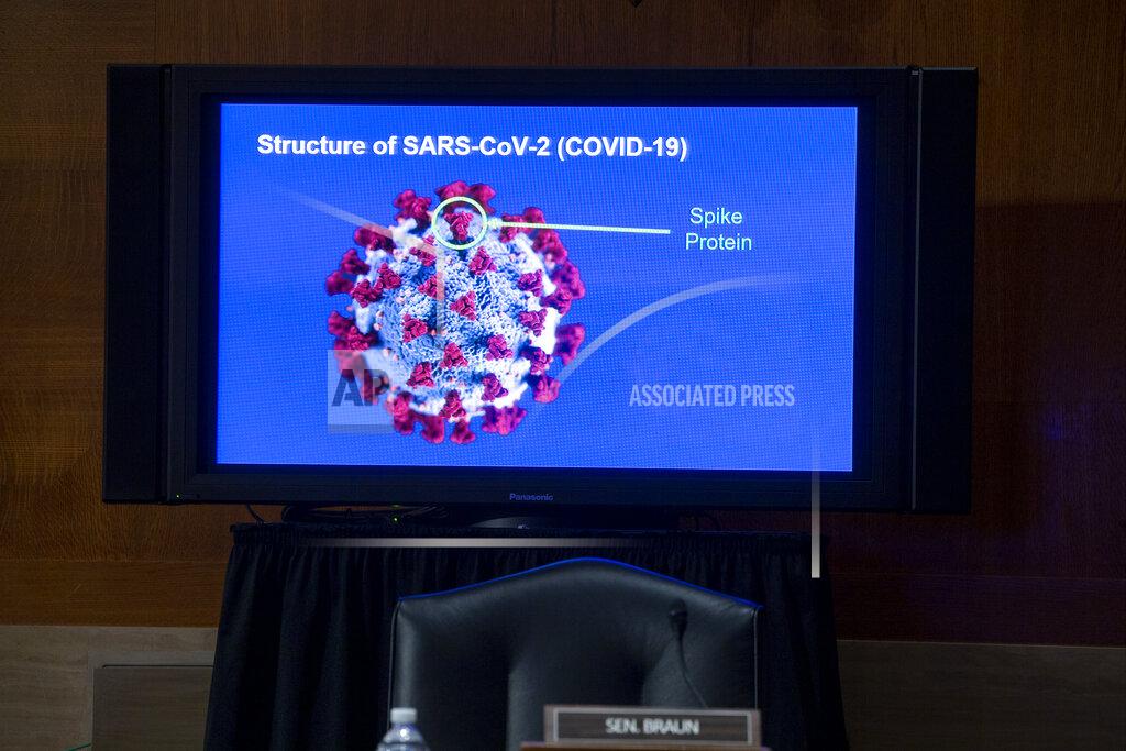 Michael Reynolds A monitor depicts the structure of SARS-CoV-2 during a Senate Health, Education, Labor and Pensions Committee hearing to discuss vaccines and protecting public health during the coronavirus pandemic on Capitol Hill, Wednesday, Sept. 9, 2020, in Washington. (Michael Reynolds/Pool via AP)
