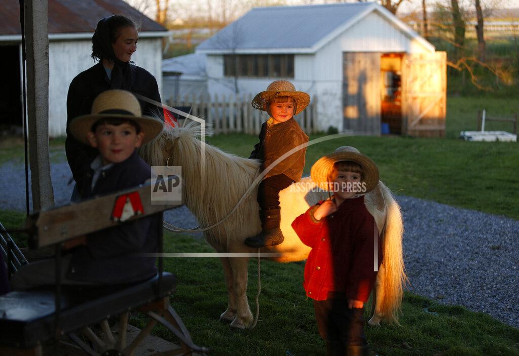 Jessie Wardarski In this Monday, May 4, 2020, photo, three-year-old Lewis, center, sits on a miniature horse as he plays with his siblings and other area children at his home in Ephrata, Pa. The children attend the Old Order Stauffer Mennonite Church with more than 200 hundred other community members in the Mennonite Valley of Lancaster County. (AP Photo/Jessie Wardarski)