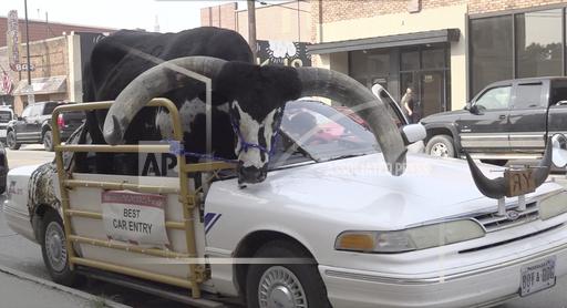 This photo provided by News Channel Nebraska, a Watusi bull named Howdy Doody sits in the passenger seat of a car owned by Lee Meyer on Wednesday, Aug. 30, 2023 in Norfolk, Neb. The car that Meyer has been driving in parades across the area for years has half the windshield and roof removed to make room for his bull to ride along. (News Channel Nebraska via AP)