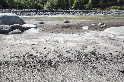Dam owner guilty in field turf pollution of Washington... - Vimarsana News