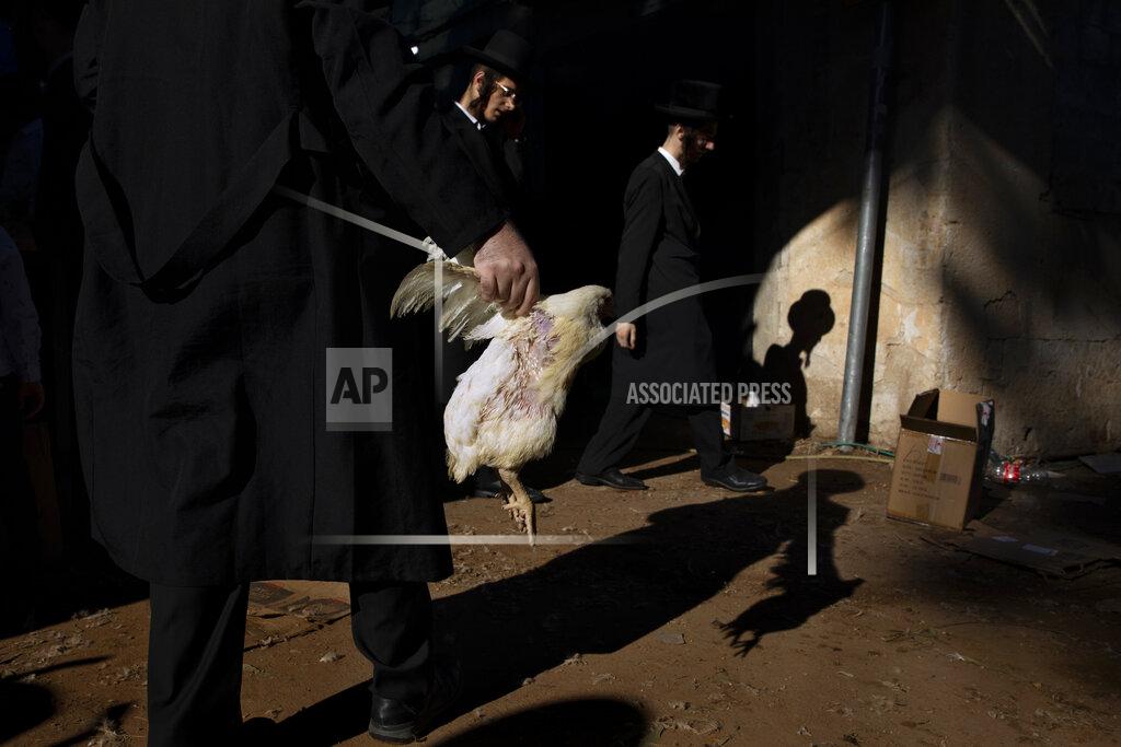 Oded Balilty An Ultra-Orthodox Jewish man holds a chicken during the Kaparot ritual in Bnei Brak, Israel, Tuesday, Sept. 14, 2021. Observant Jews believe the ritual transfers one's sins from the past year into the chicken, and is performed before the Day of Atonement, Yom Kippur, the holiest day in the Jewish year which starts at sundown Wednesday. (AP Photo/Oded Balilty)