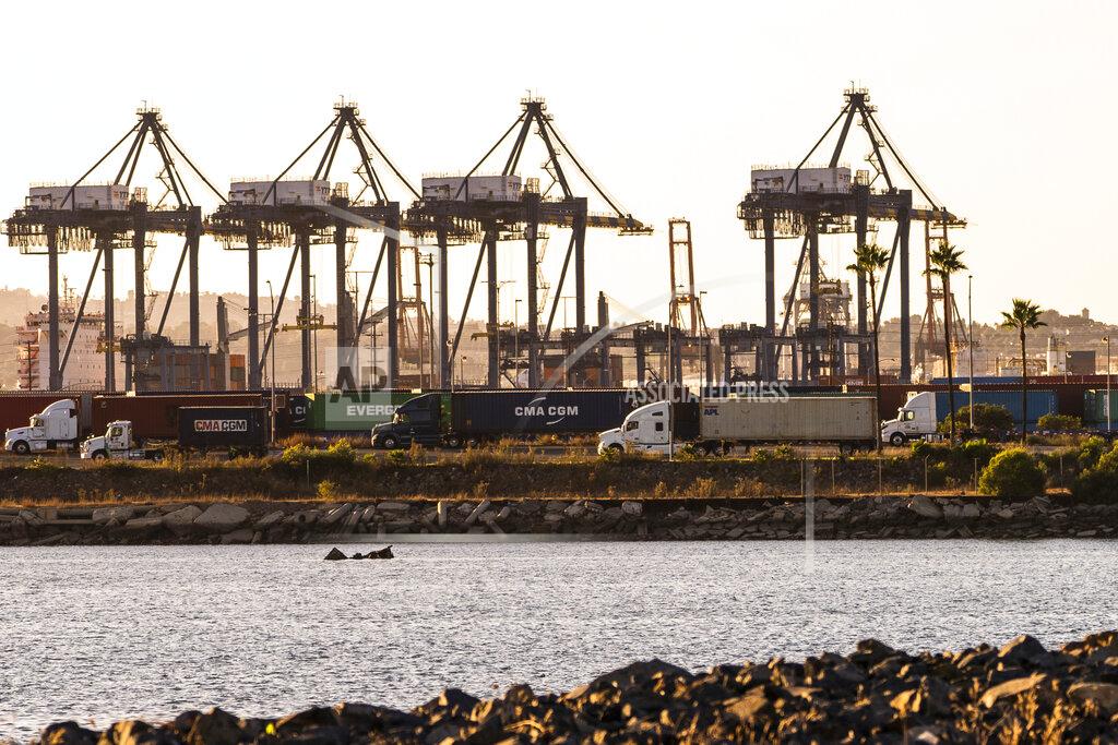 Damian Dovarganes In this Tuesday, Oct. 19, 2021, photo trucks line up next to containers being shipped by rail in Terminal Island in Los Angeles. The Vincent Thomas Bridge suspension bridge, crossing the Los Angeles Harbor links San Pedro with Terminal Island. California Gov, Gavin Newsom on Wednesday, Oct. 20, issued an order that aims to ease bottlenecks at the ports of Los Angeles and Long Beach that have spilled over into neighborhoods where cargo trucks are clogging residential streets. Last week the White House allowed the ports complex to become a 24-hour operation in an effort to break the logjam and reduce shipping delays. (AP Photo/Damian Dovarganes)