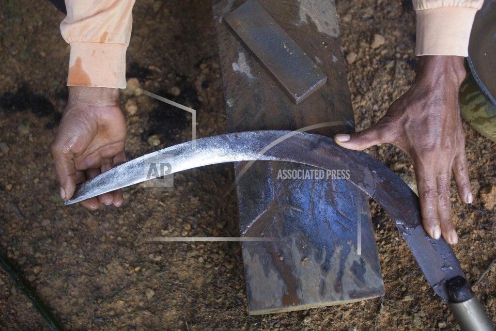Binsar Bakkara An Indonesian migrant worker sharpens the blade of his sickle used for cutting down palm oil fruit from tall trees in Sabah, Malaysia, on Monday, Dec. 10, 2018. Many Indonesians working in Malaysia do not have proper documents, leaving them vulnerable to exploitation, arrest or deportation. (AP Photo/Binsar Bakkara)