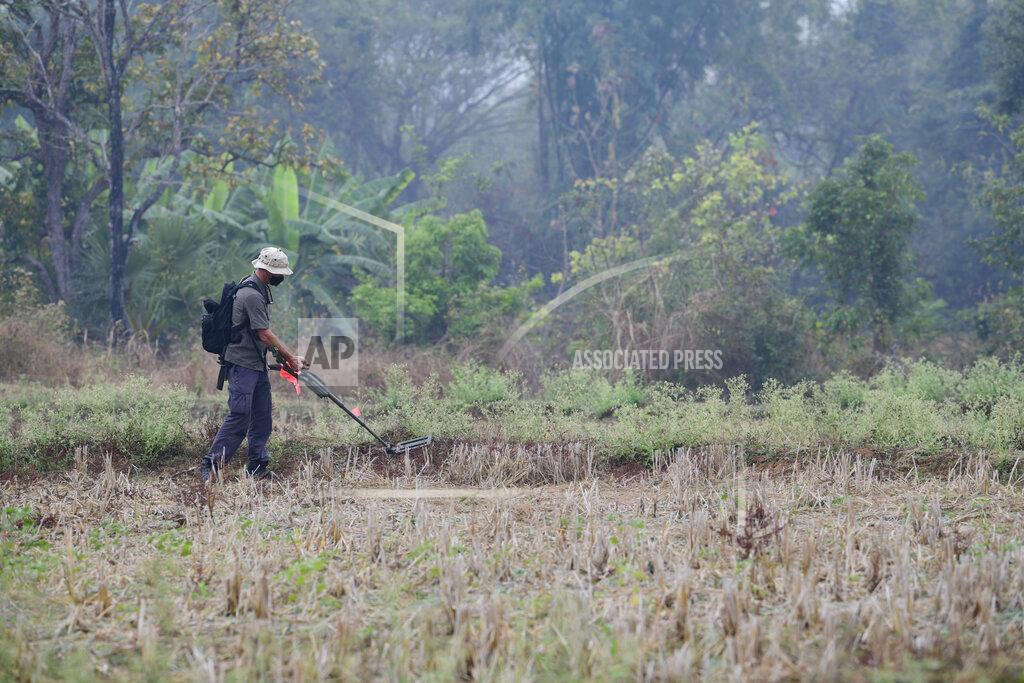 Michael O'NEal U.S. Navy Chief Petty Officer David Hanaumi, an explosive ordnance disposal technician assigned to the Defense POW/MIA Accounting Agency (DPAA), searches for metal hits at an excavation site in Lampang Province, Thailand, Feb. 16, 2022. Possible human remains were found at a crash site in a rice field in northern Thailand by the Defense POW/MIA Accounting Agency and were sent to Hawaii where they will be tested to see if they belong to a U.S. pilot who went missing in 1944. (U.S. Army Sgt. 1st Class Michael O'Neal/Defense POW/MIA Accounting Agency via AP)
