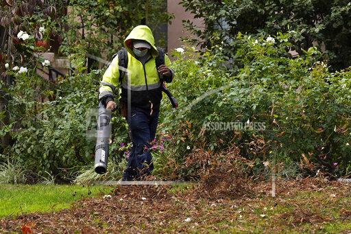 A gardener uses a leaf blower to clear leaves at a home in Sacramento, Calif., Wednesday, Oct. 13, 2021. Gov. Gavin Newsom signed 92% of the new laws lawmakers sent to him at the end of the years legislative session that ended Sept. 10. One of the bills approved clears the way for a first-ever ban on the sale of new gas-powered leaf blowers and lawn blowers. (AP Photo/Rich Pedroncelli)